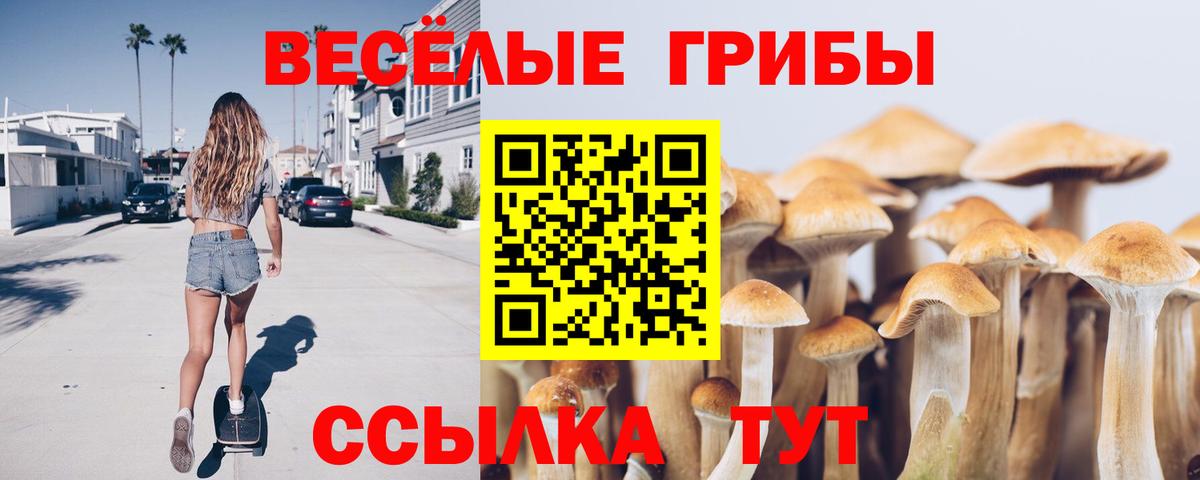 Псилоцибиновые грибы Cubensis Ростов Великий